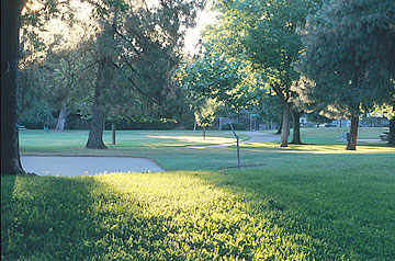Photo: Chestnut Park