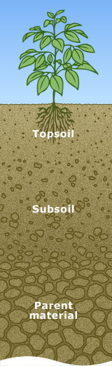Photo: Soil profile