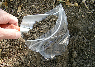 Photo: ECU soil