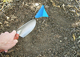 Photo: Clearing surface debris