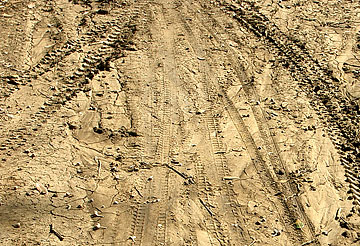 Photo: Barren, compacted, and possibly saline soil