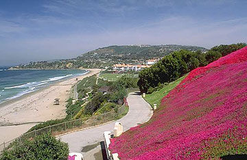Photo: Coastal landscape