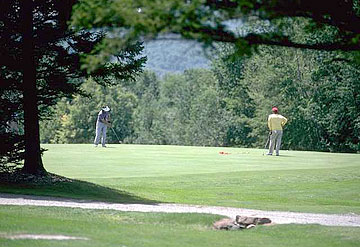 Photo: Two golfers on putting green