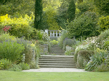 Photo: Garden and decorative concrete staircase