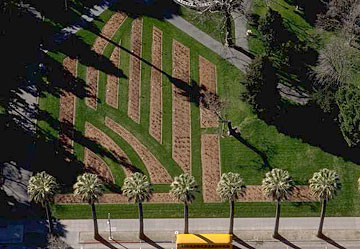 Photo: Aerial view of city park