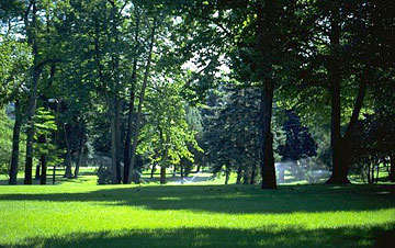 Photo: A park being irrigated