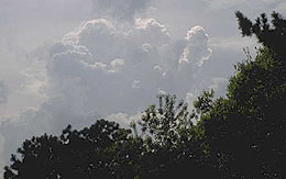 Photo: Cool, humid weather
