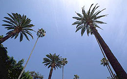 Photo: Warm, dry weather