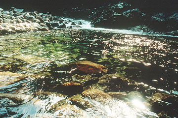 Photo: Close-up of water in a stream that drains the Sierra Nevada range