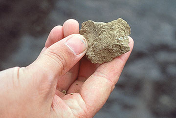 Photo: Landscape, soil exposed, salts not visible