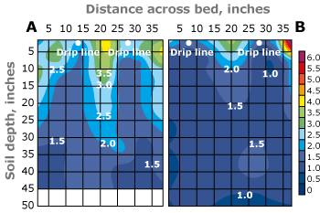 Figure 9. Pattern of salinity for soil wetted by a dual-drip irrigation system at relatively low (a) and high (b) leaching fraction. The vertical scale at right shows the value of ECe associated with each color