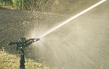 Close-up of sprinkler in action