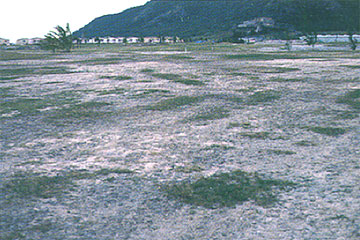 Photo: Numerous barren spots on golf-course fairway
