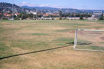 Photo: This sports playing field is in bad shape, with extensive desiccation and death of turfgrass