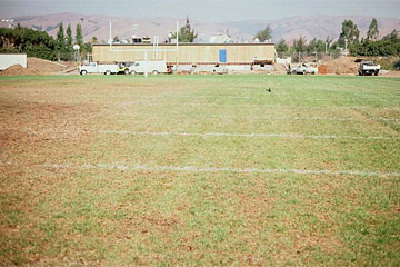 Photo: Sports field exhibits severe thinning and other damage